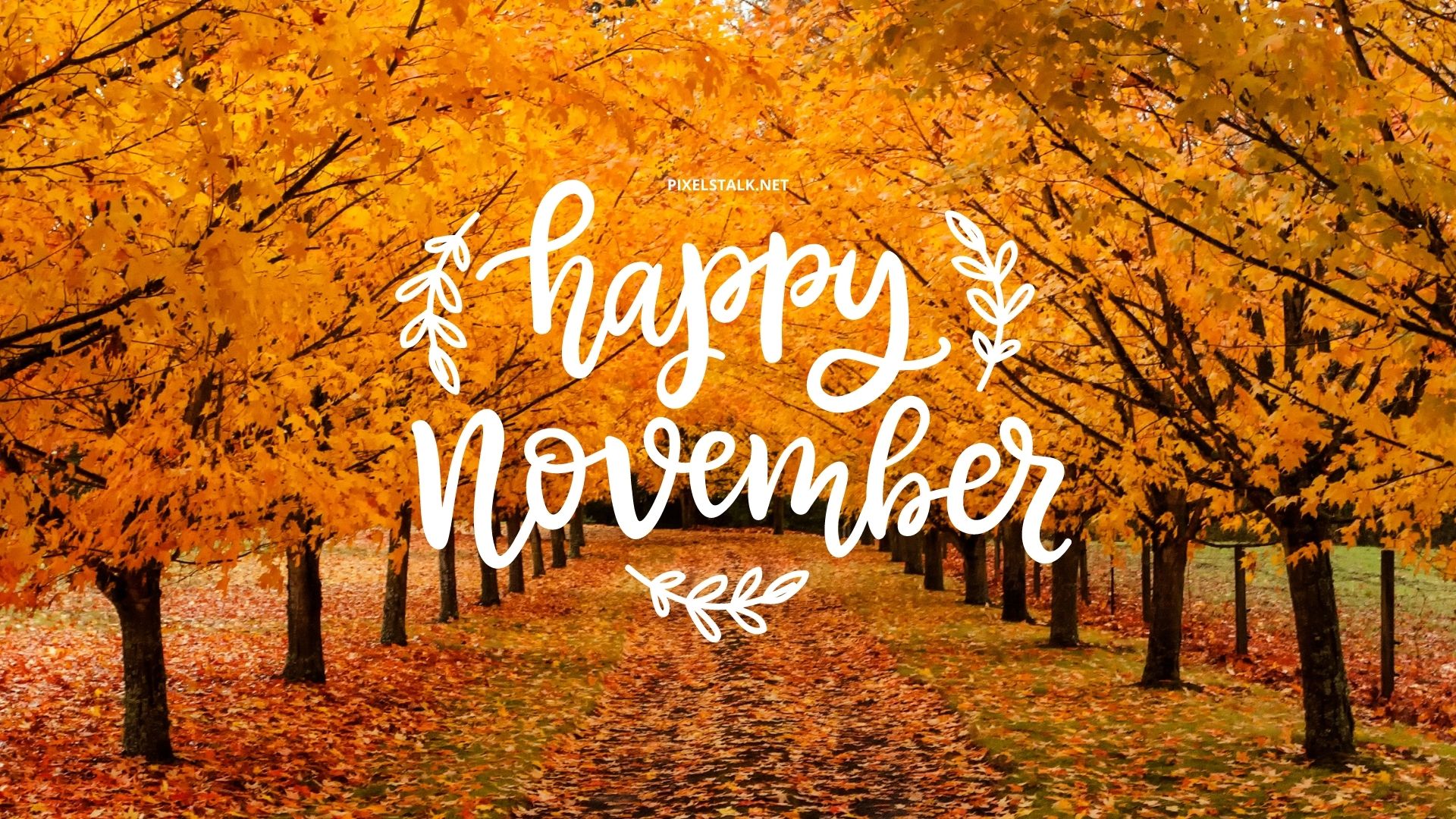 Hello November Wallpapers  Wallpaper Cave