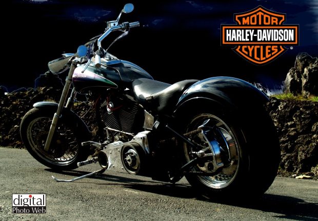 Harley Davidson HD Wallpaper.