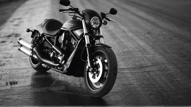 Harley Davidson Wallpaper Free Download.