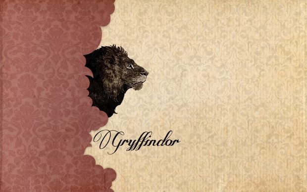 Harry Potter Aesthetic Wallpaper High Resolution.