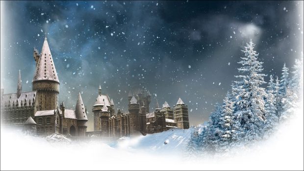 Harry Potter Winter HD Wallpaper Computer.