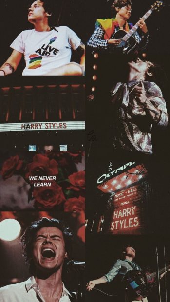 Harry Styles Aesthetic Pictures.