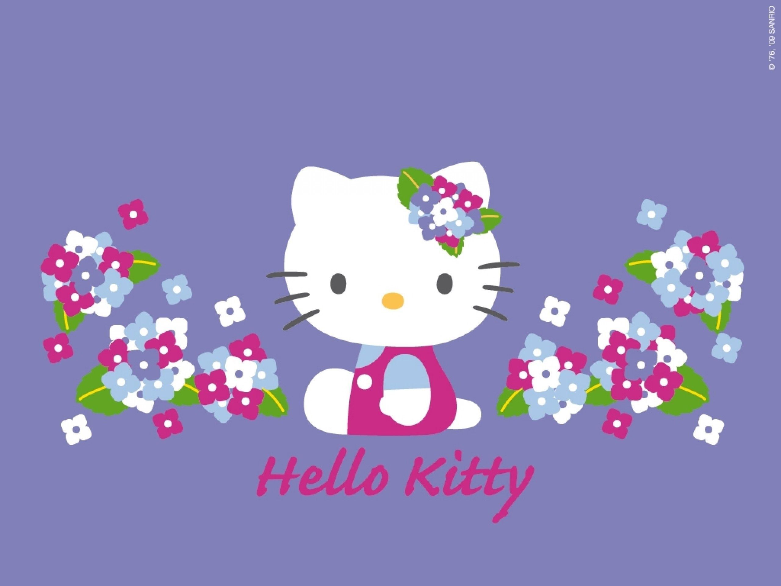 Hello Kitty Laptop Wallpapers  Top Free Hello Kitty Laptop Backgrounds   WallpaperAccess
