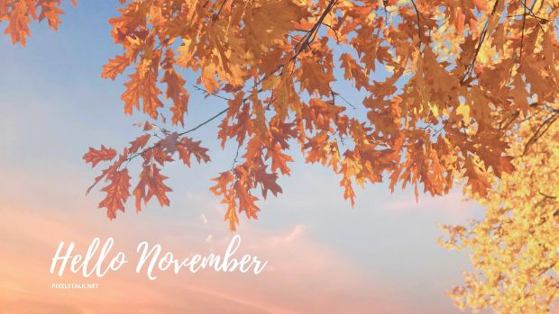 Hello November Desktop Wallpaper.