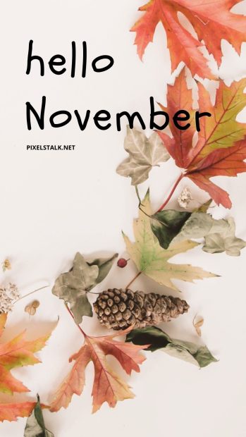 Hello November Iphone Wallpaper.