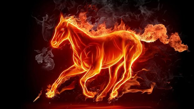 Horse Background Fire.