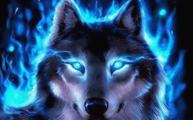 Hot Cool Galaxy Wolf Background.