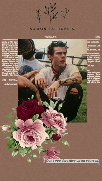 Hot Harry Styles Aesthetic Background.