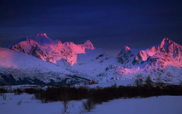 Hot Pink Winter Background.