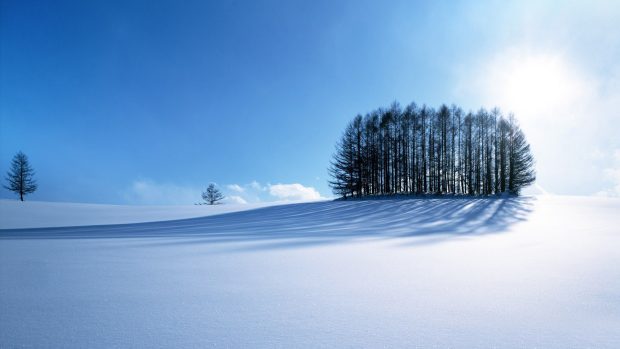 Hot Winter Background.