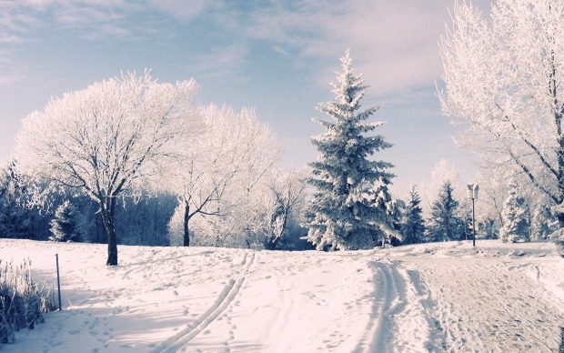 Hot Winter Wonderland Background.