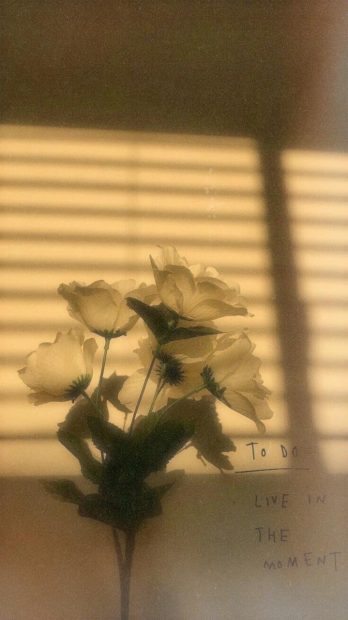 Iphone Aesthetic Wallpaper HD Flower.