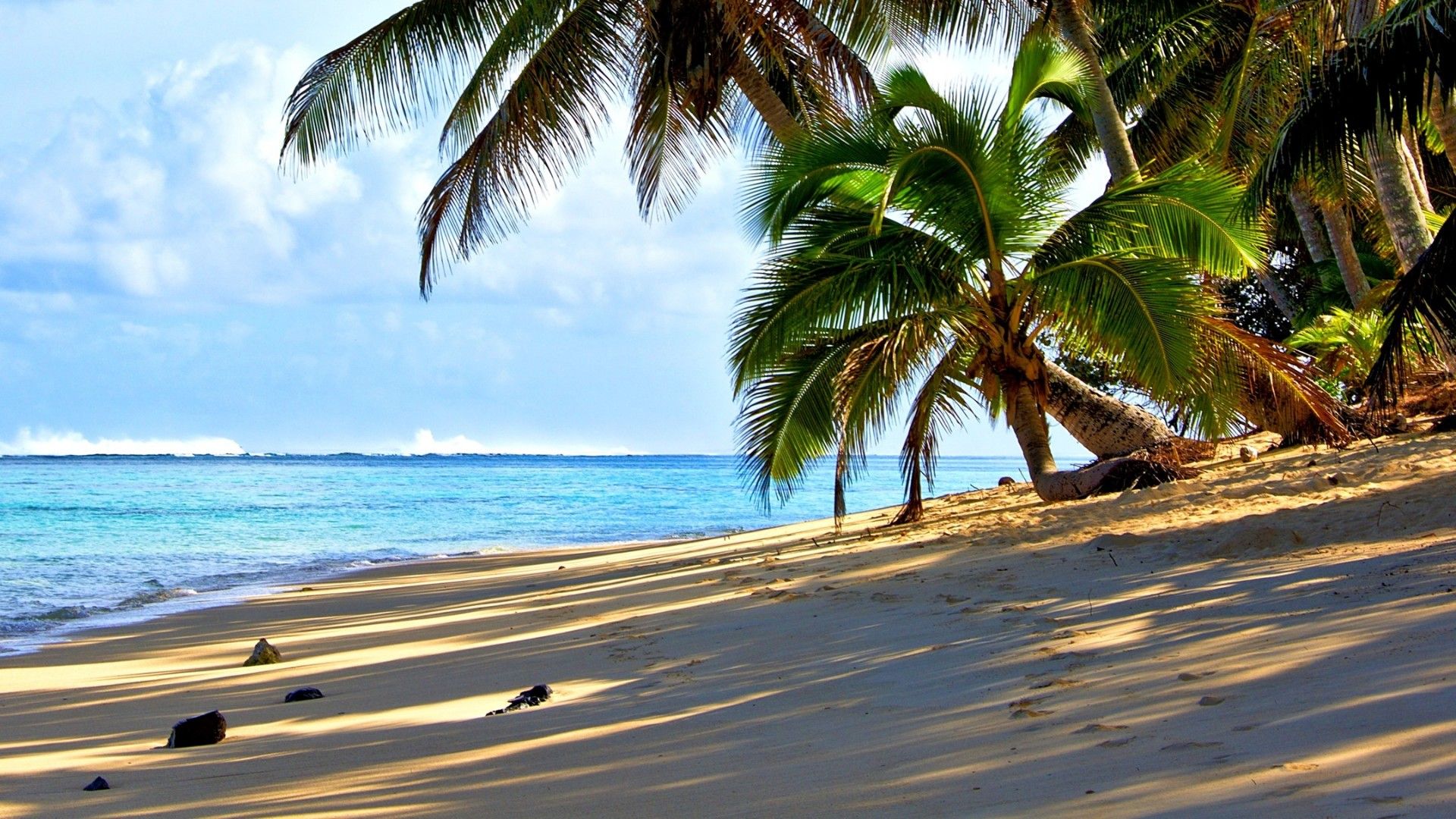Wallpaper Beautiful tropical scenery palm trees beach sea island  2560x1600 HD Picture Image