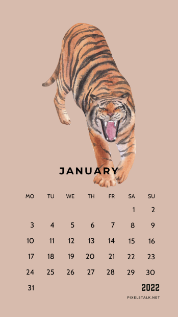 January 2022 Calendar Background for iPhone (4).