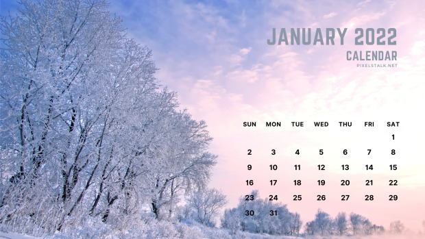 January 2022 Calendar Winter Desktop Wallpaper.