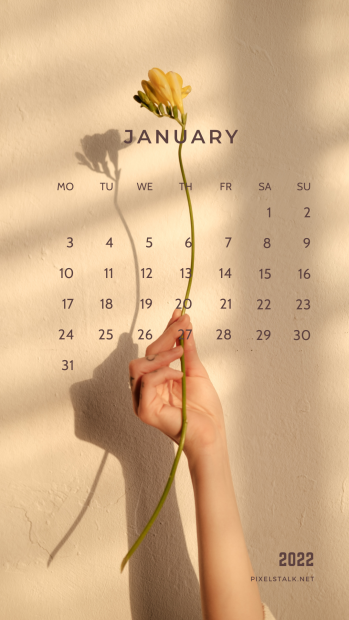 January 2022 Calendar iPhone Beautiful Background.