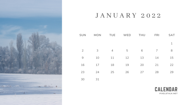 January Calendar 2022 Desktop Background.