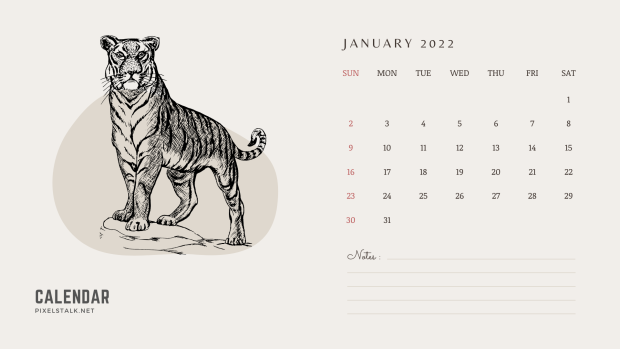 January Calendar 2022 Tiger HD Wallpapers.