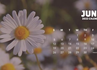 June 2022 Calendar Backgrounds Flower.