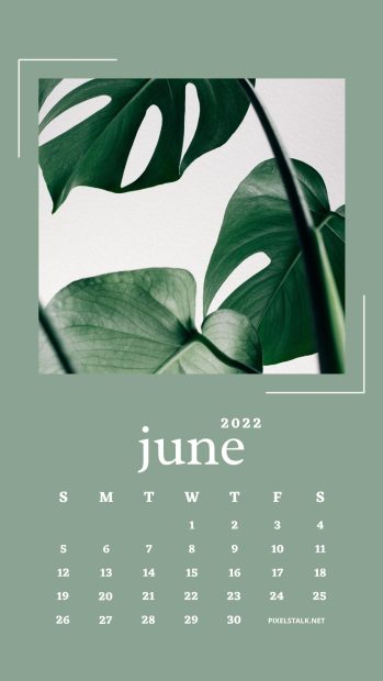 June 2022 Calendar Basic Wallpaper.