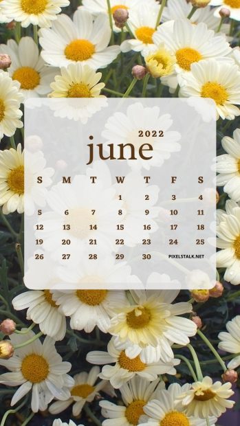 June 2022 Calendar Daisy Flower Wallpaper.