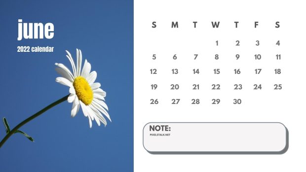 June 2022 Calendar Daisy Pictures.