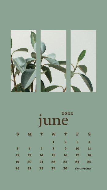 June 2022 Calendar Simple Wallpaper.