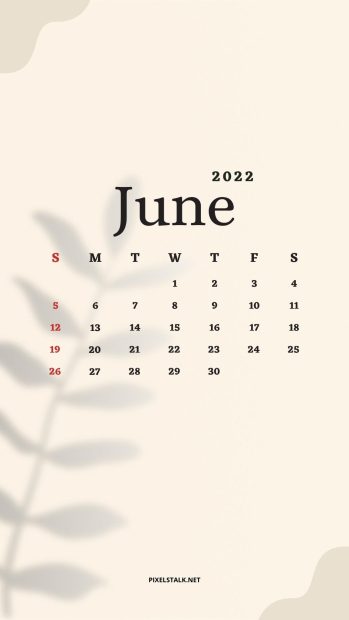 June 2022 Calendar Wallpaper Aesthetic For Iphone.