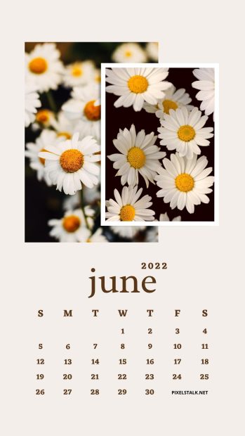 June 2022 Calendar Wallpaper Daisy Flower.