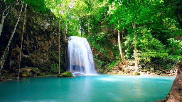 Jungle Waterfall Wallpaper HD.