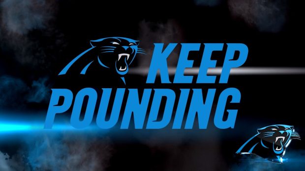 Kepp Pounding Carolina Panthers Wallpaper HD.
