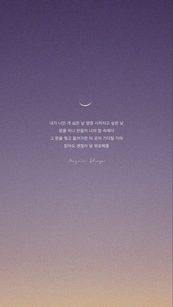 Korean Aesthetic Wide Screen Wallpaper HD.