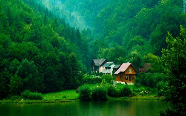Lake House Forest Background HD.