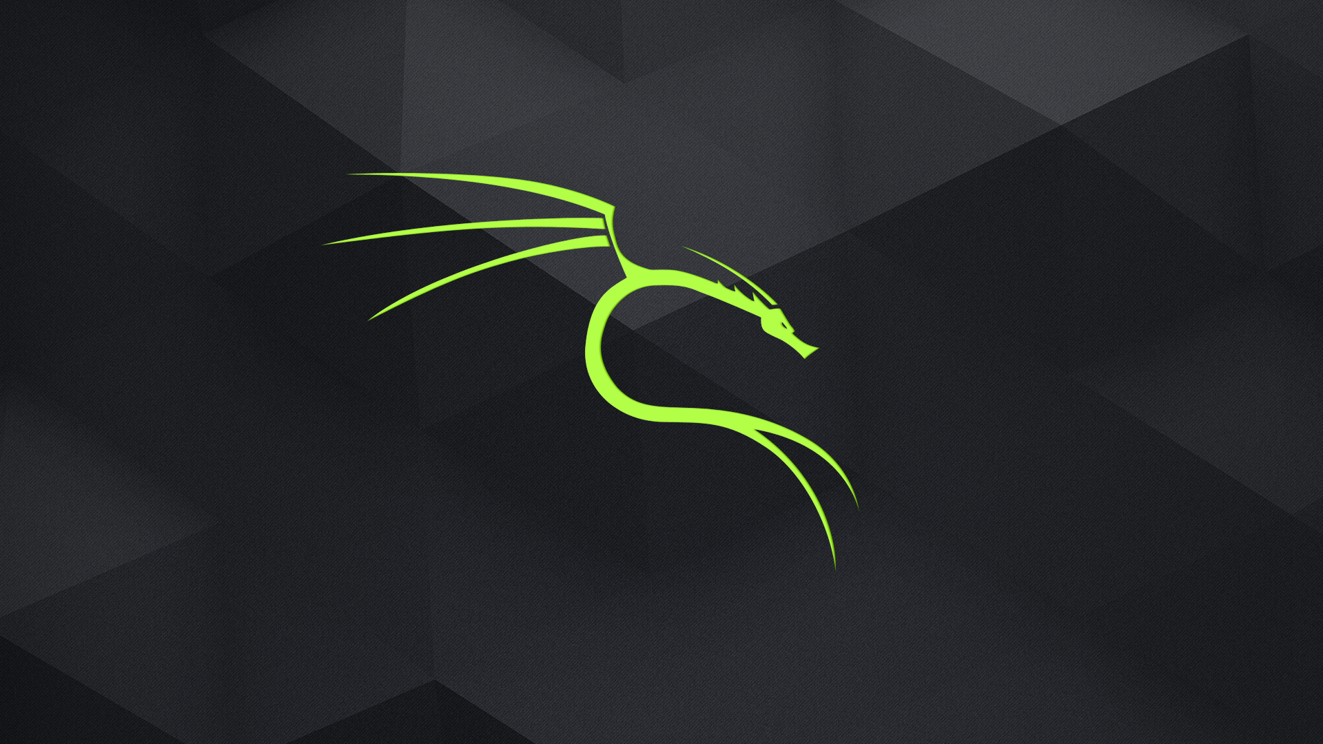 Linux Developer HD wallpaper  Peakpx