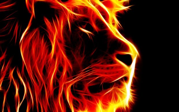 Lion Fire Background HD.