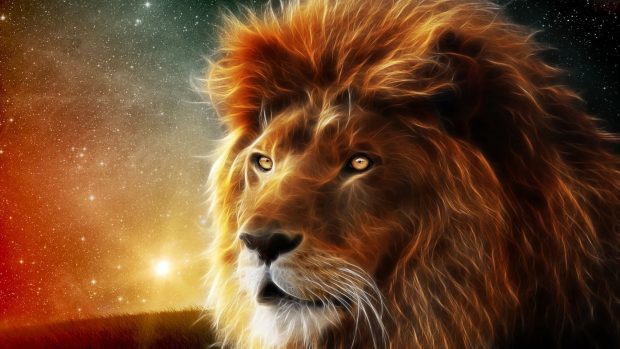 Lion HD Wallpaper.