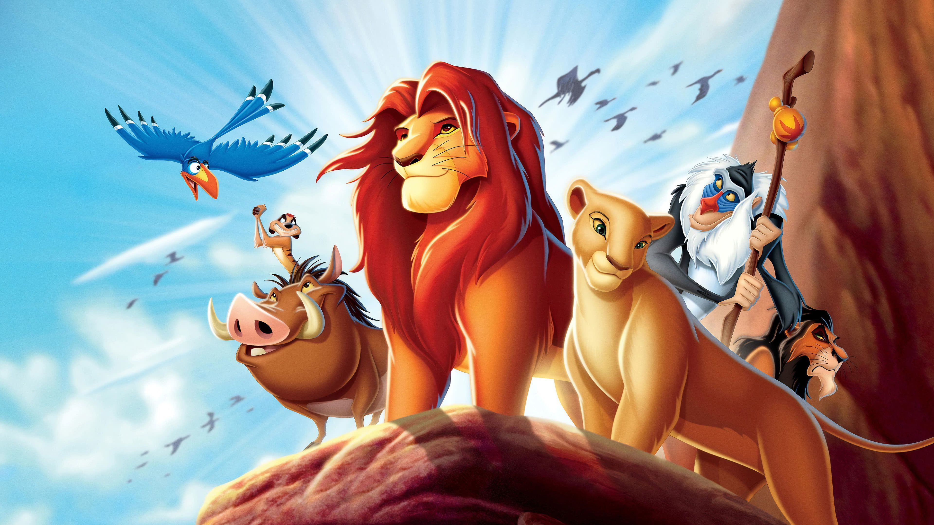 100 Cute Lion King Wallpapers  Wallpaperscom