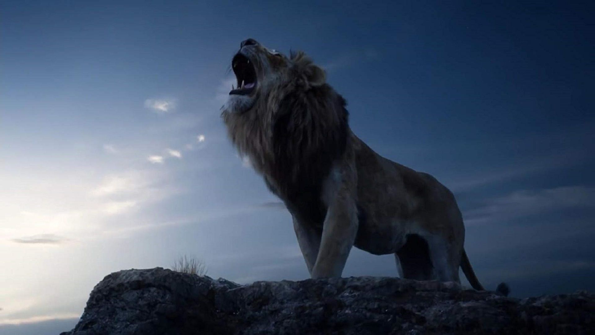 HD Lion King Wallpapers High Quality 