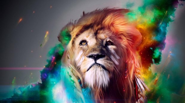 Lion Wallpaper Desktop.