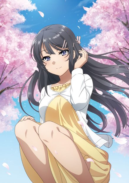 Lovely Mai Sakurajima Wallpaper HD.