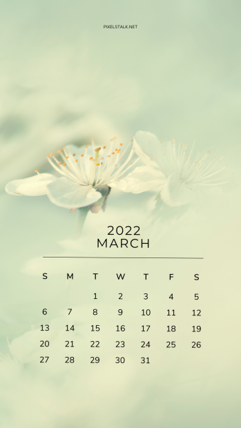 March 2022 Calendar iPhone Wallpaper.