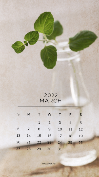 March 2022 calendar iphone background 8.