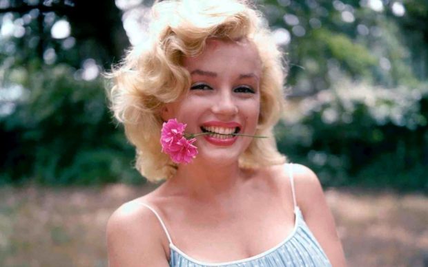 Marilyn Monroe HD Wallpaper Free download.