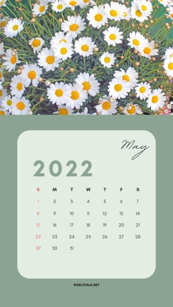 May 2022 Calendar Wallpaper Daisy Flower.