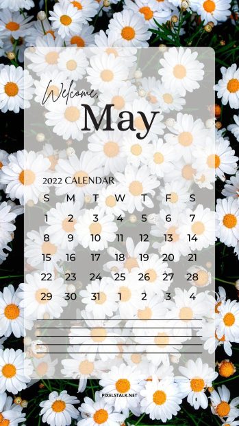 May 2022 Calendar iPhone Wallpaper Daisy Flower.