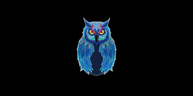 Minimal Owl Wallpaper HD.