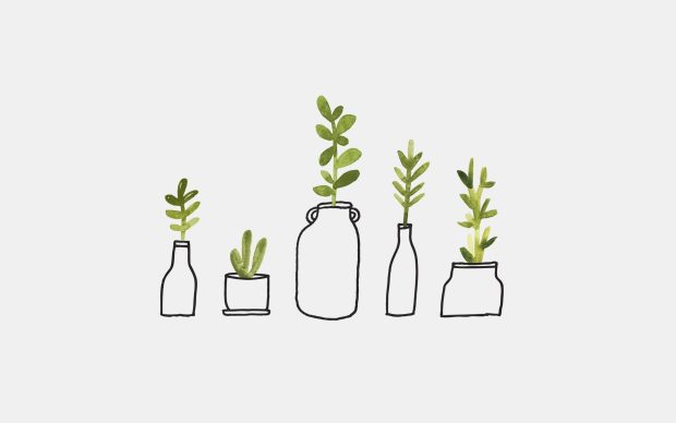 Minimalist Aesthetic Plants Background.