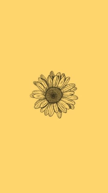 Minimalist Aesthetic Sunflower Backgrounds.