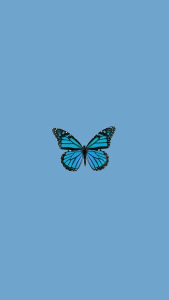 Minimalist Blue Butterfly Wallpaper Aesthetic HD.