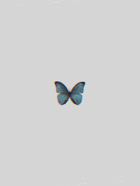 Minimalist Butterfly HD Wallpaper Aesthetic.